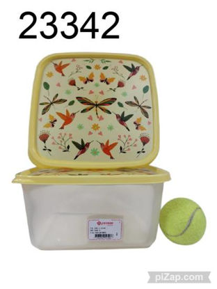 Imagen de TUPPER CUADRADO TAPA HERMETICA ESTAMPADA 3LT 5x21x10 9.25